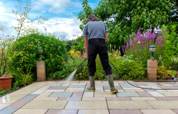  West Monroe, MI Pressure Washing Pros